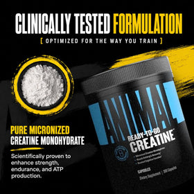 Animal Capsules de Créatine Monohydrate 300 Comp. en mode de vie actif