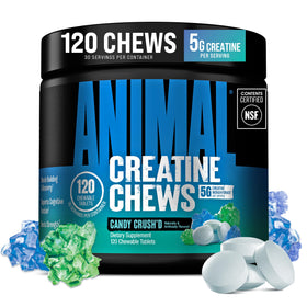 Animal Chews de Créatine Monohydrate 120 Count pot vue de face
