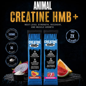 Animal Creatine HMB+ Dragon Berry flavor powder in a scoop