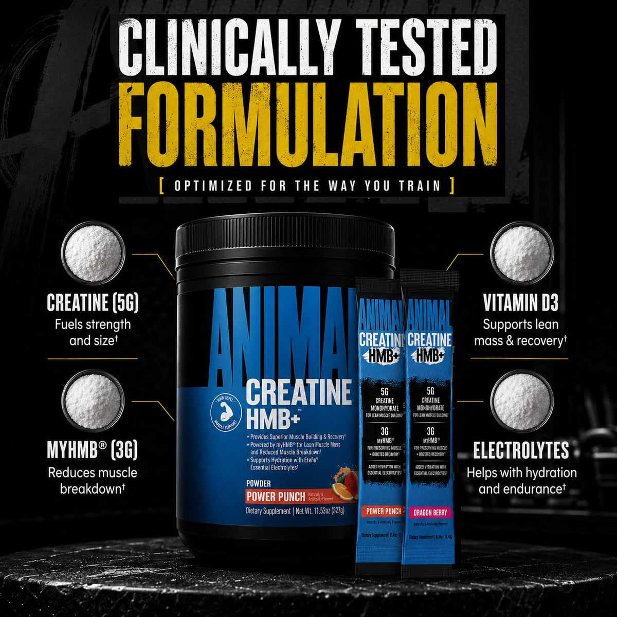 Animal Creatine HMB+ product with gym accessories