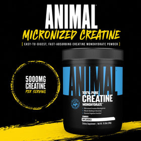 Animal Créatine Monohydrate 300g, dosette de poudre