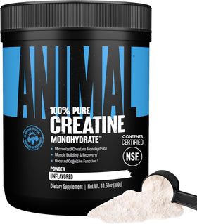 Animal Créatine Monohydrate 300g, poudre incolore en pot