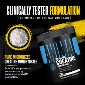 Animal Créatine Monohydrate 300g, utilisation dans un smoothie