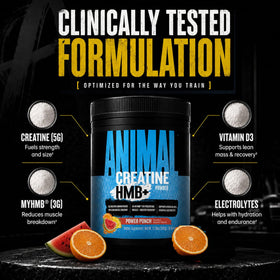 Animal Creatine Monohydrate HMB+ 430g mélange dans un shaker