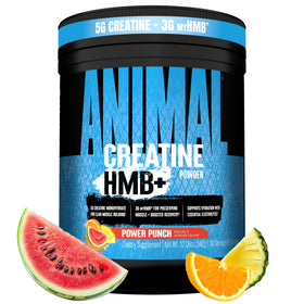 Animal Creatine Monohydrate HMB+ 430g vue de face