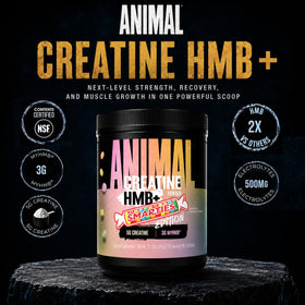 Animal Creatine Monohydrate HMB+ 435g avec cuillère dosette