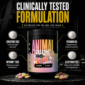 Animal Creatine Monohydrate HMB+ 435g en scène de fitness