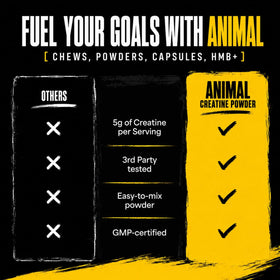 Animal Creatine Monohydrate Poudre 1000g dans un shaker