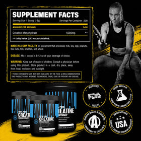 Animal Creatine Monohydrate Poudre 1000g en contexte sportif