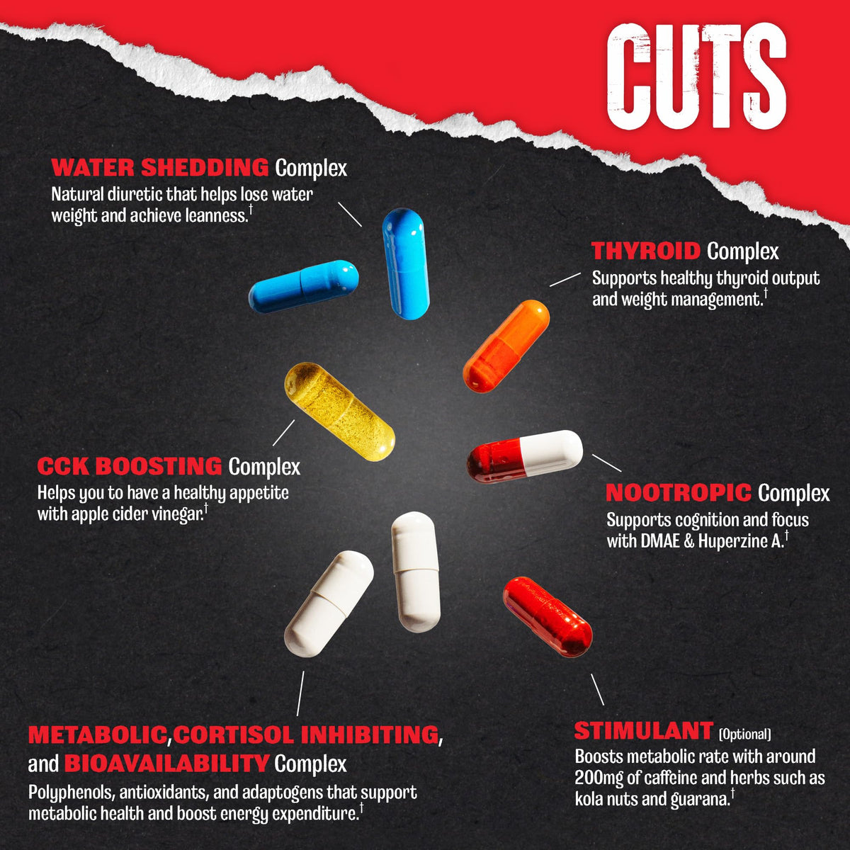 Animal Cuts supplement facts on the back of the package