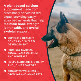 Animal Essentials Complément Alimentaire Calcium Algues 12 oz avec cuillère doseuse