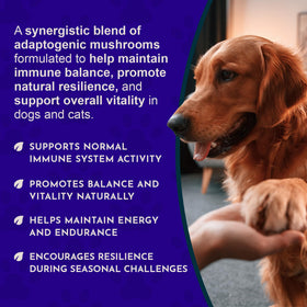 Animal Essentials Mycotriplex Champignon 60ml arrière
