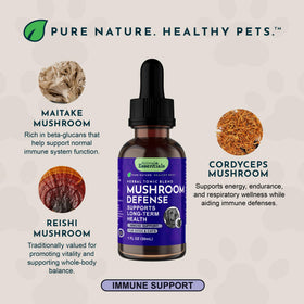 Animal Essentials Mycotriplex Champignon 60ml dosage