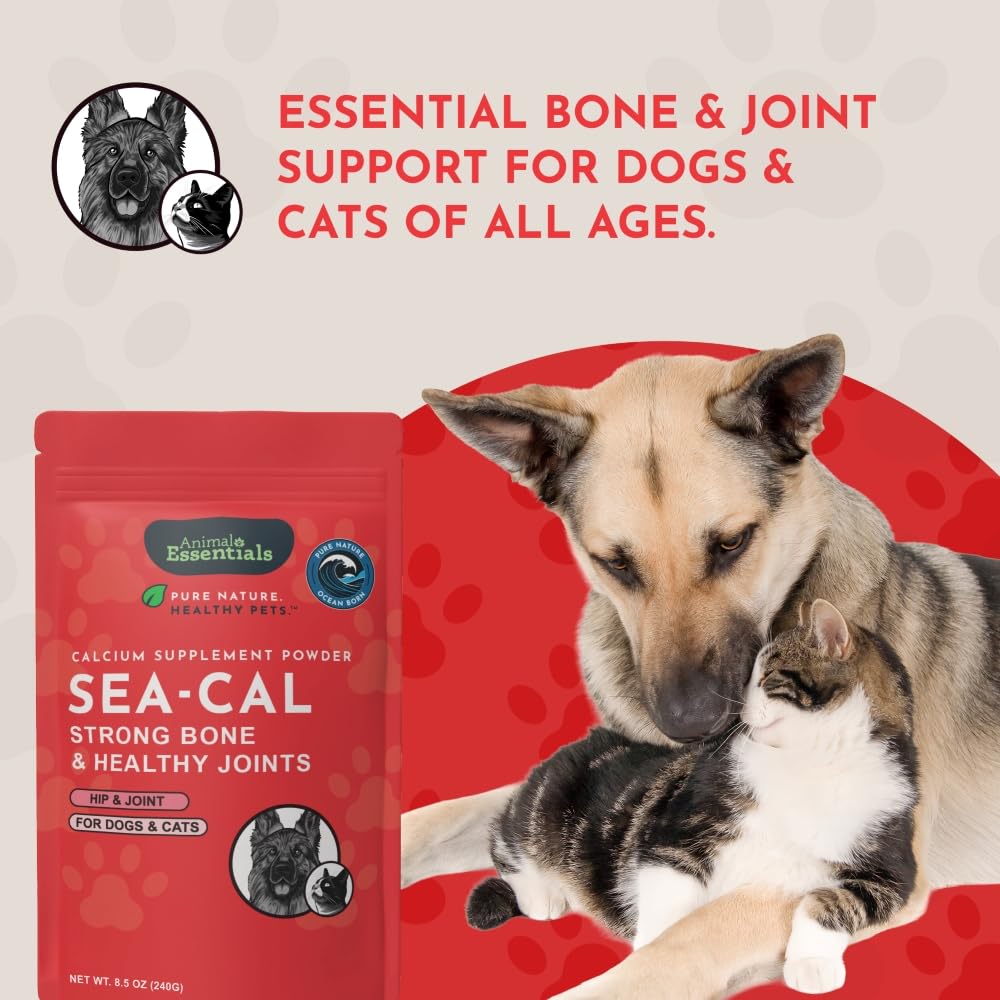 Animal Essentials Sea-Cal poudre de calcium d'algue marine 254g en utilisation quotidienne