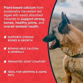 Animal Essentials Sea-Cal poudre de calcium d'algue marine 254g vue de côté