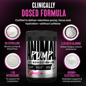 Animal Pump Non-Stim poudre pré-workout sur une surface de gym