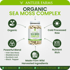 Antler Farms Complex de Mousse de Mer, flacon ouvert avec capsules