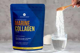 Antler Farms Poudre de Collagène Marin 12 oz échantillon dans un verre