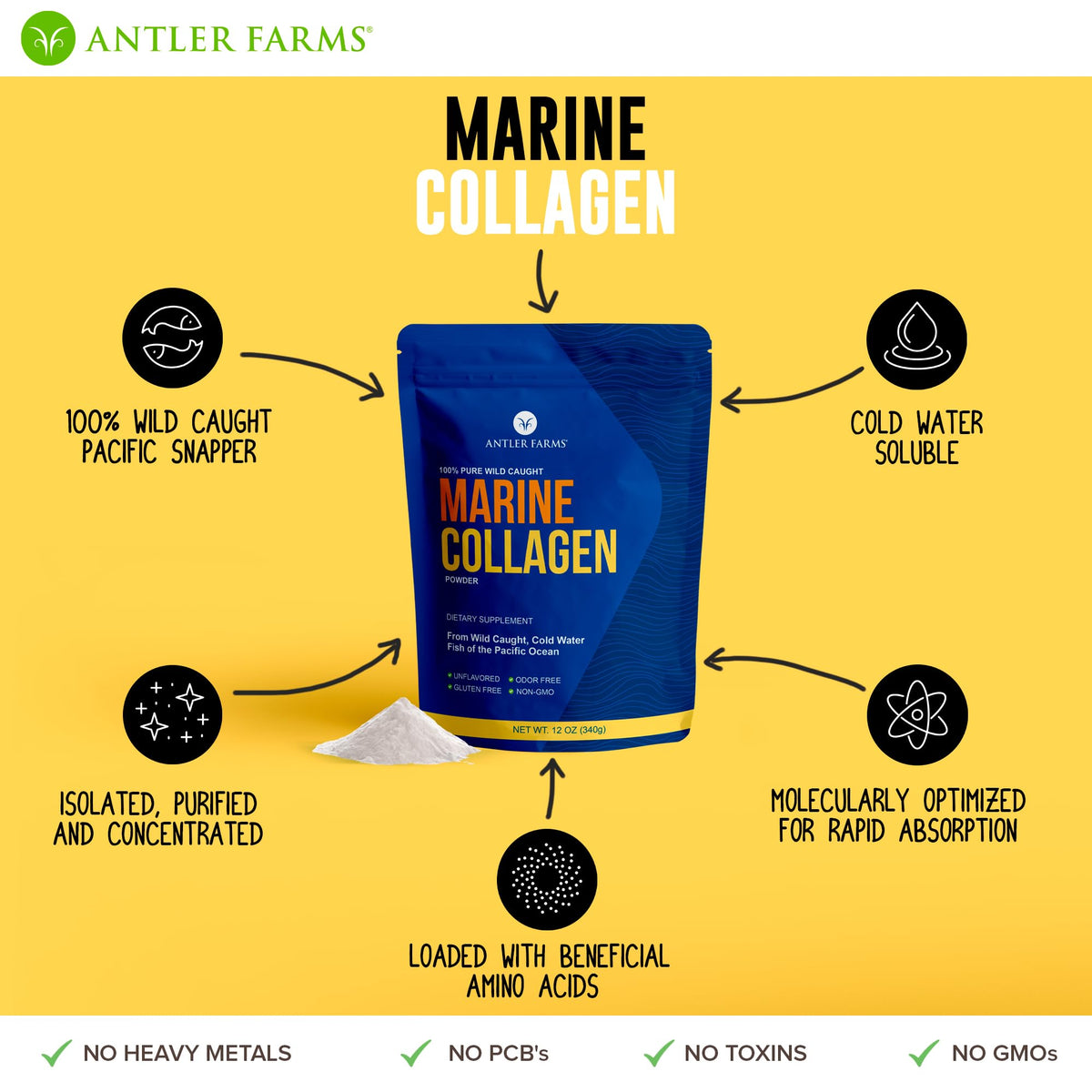Antler Farms Poudre de Collagène Marin 12 oz en poudre sur une cuillère