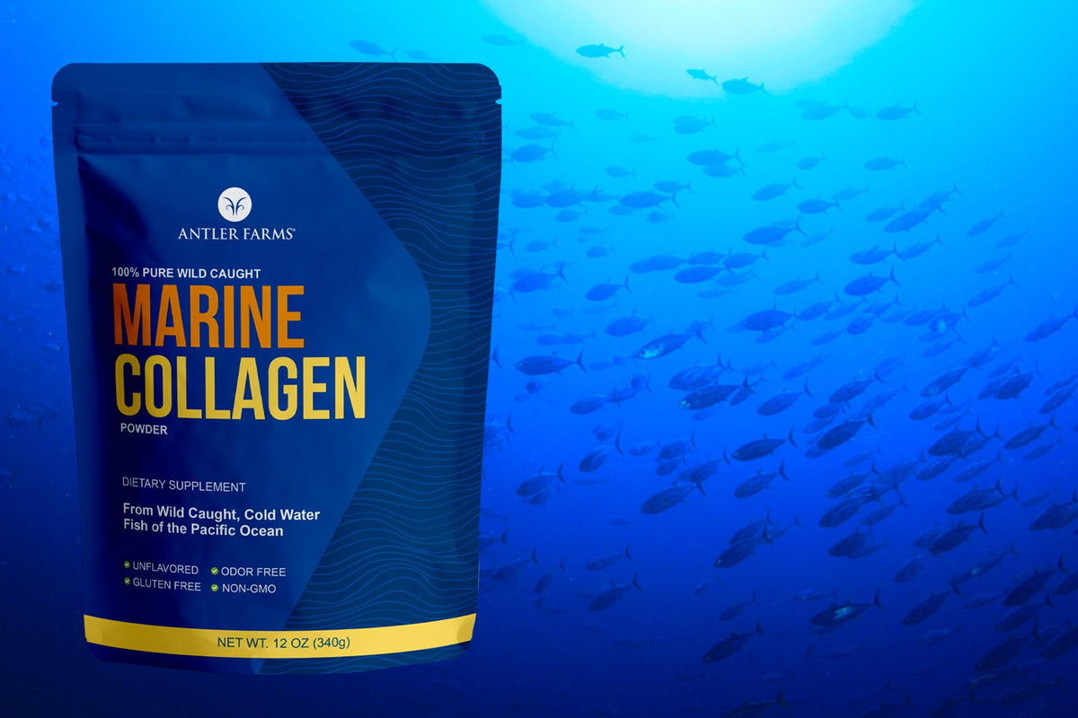 Antler Farms Poudre de Collagène Marin 12 oz packaging arrière