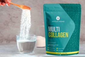 Antler Farms Poudre de Protéine Multi Collagène 472g avec cuillère doseuse