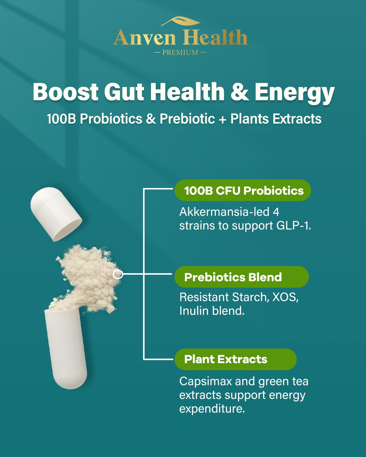 Anven Health Probiotiques Akkermansia 270 capsules sur fond blanc