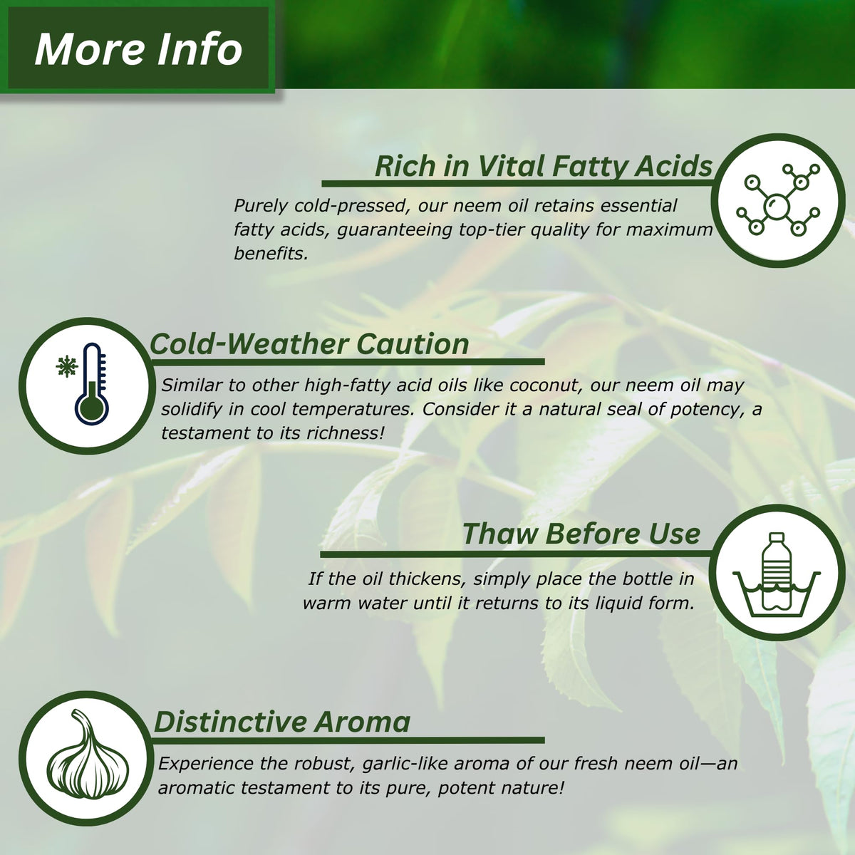 Application d'huile de neem sur une plante d'intérieur