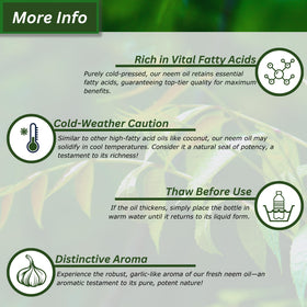 Application de l'huile de neem sur des feuilles de plante