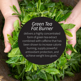 Applied Nutrition Green Tea Fat Burner 3 Pack back view