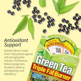 Applied Nutrition Green Tea Fat Burner 3 Pack packaging