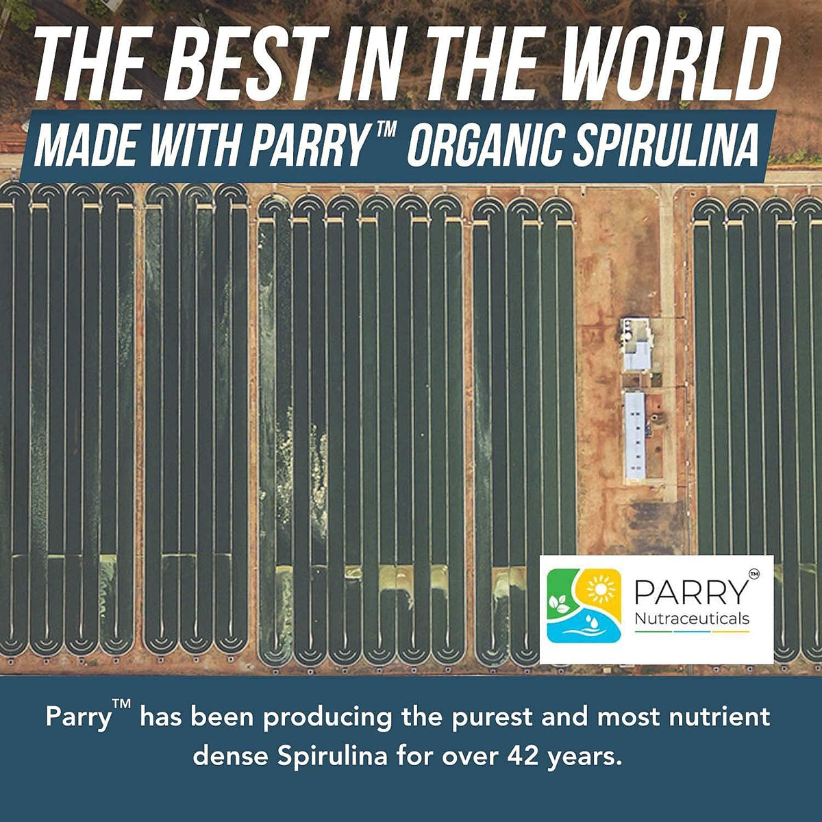 Arrière de la boîte de Spiruline Bio Triquetra Health avec ingrédients