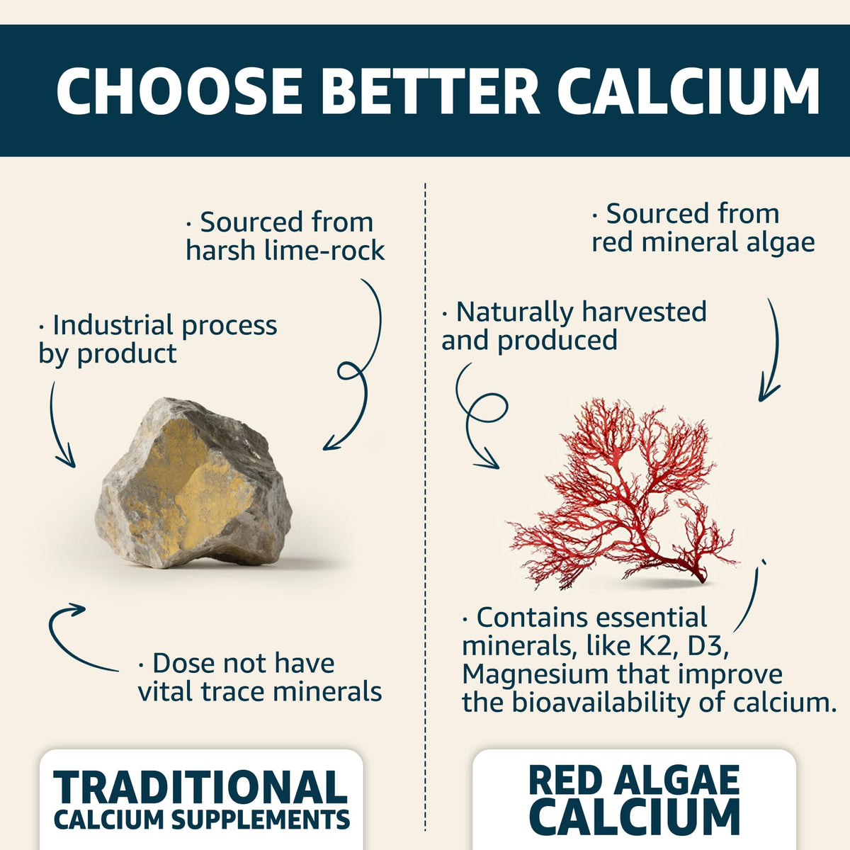 Arrière du flacon de gummies calcium EnvyCure avec informations nutritionnelles