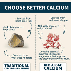 Arrière du flacon de gummies calcium EnvyCure avec informations nutritionnelles