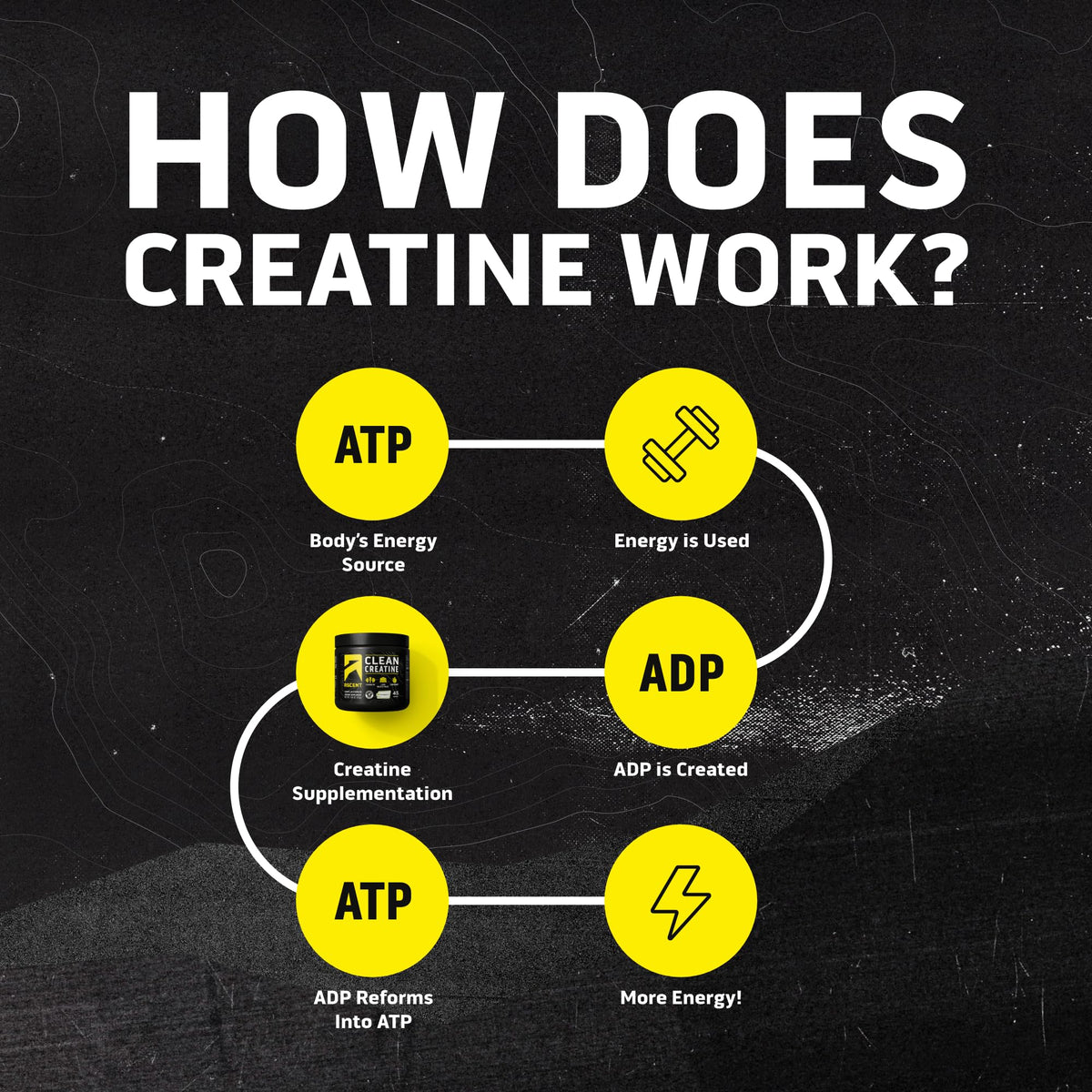 Ascent Clean Creatine Monohydrate 281g serving suggestion