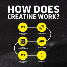Ascent Clean Creatine Monohydrate 281g serving suggestion