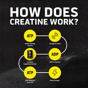 Ascent Clean Creatine Monohydrate 560g in a glass with water