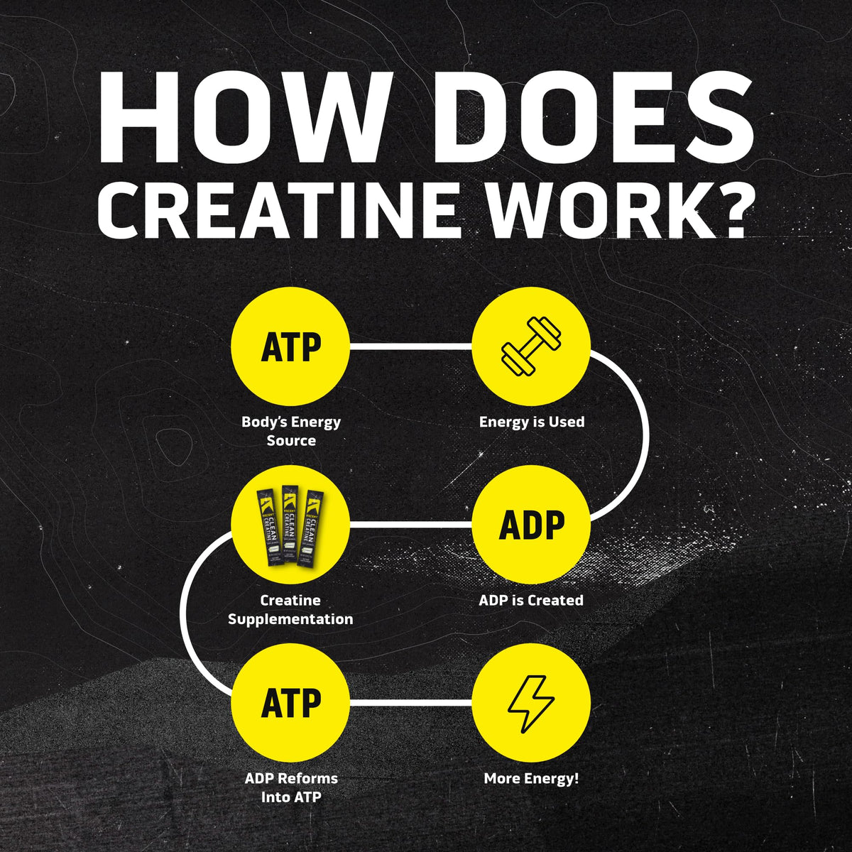 Ascent Creatine Monohydrate Creapure, mise en scène avec des accessoires de fitness