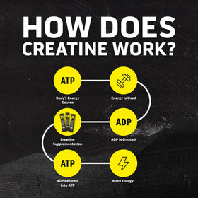 Ascent Creatine Monohydrate Creapure, mise en scène avec des accessoires de fitness