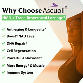 Ascuoli NMN Resvératrol 950mg dans une main