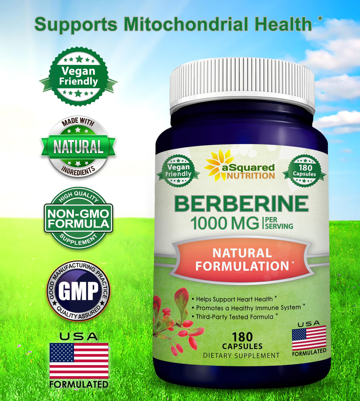 aSquared Nutrition Complément Alimentaire Berbérine 1000mg 180 capsules ouverte