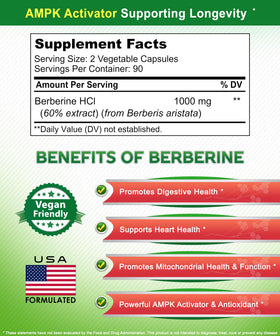 aSquared Nutrition Complément Alimentaire Berbérine 1000mg 180 capsules en main