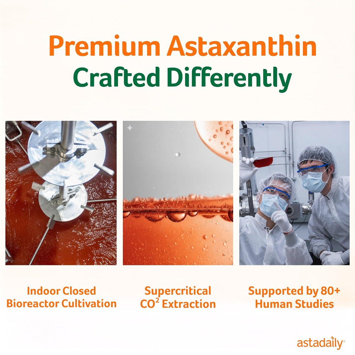 AstaDaily AstaXanthine 6mg dans un environnement de bureau