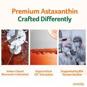 AstaDaily AstaXanthine 6mg dans un environnement de bureau