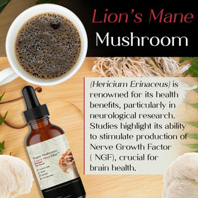 Auri Elixir Liquide de Champignon Lion's Mane étiquette détaillée