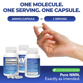 AUTHENTA NMN 600 mg capsule végétalienne sur fond blanc