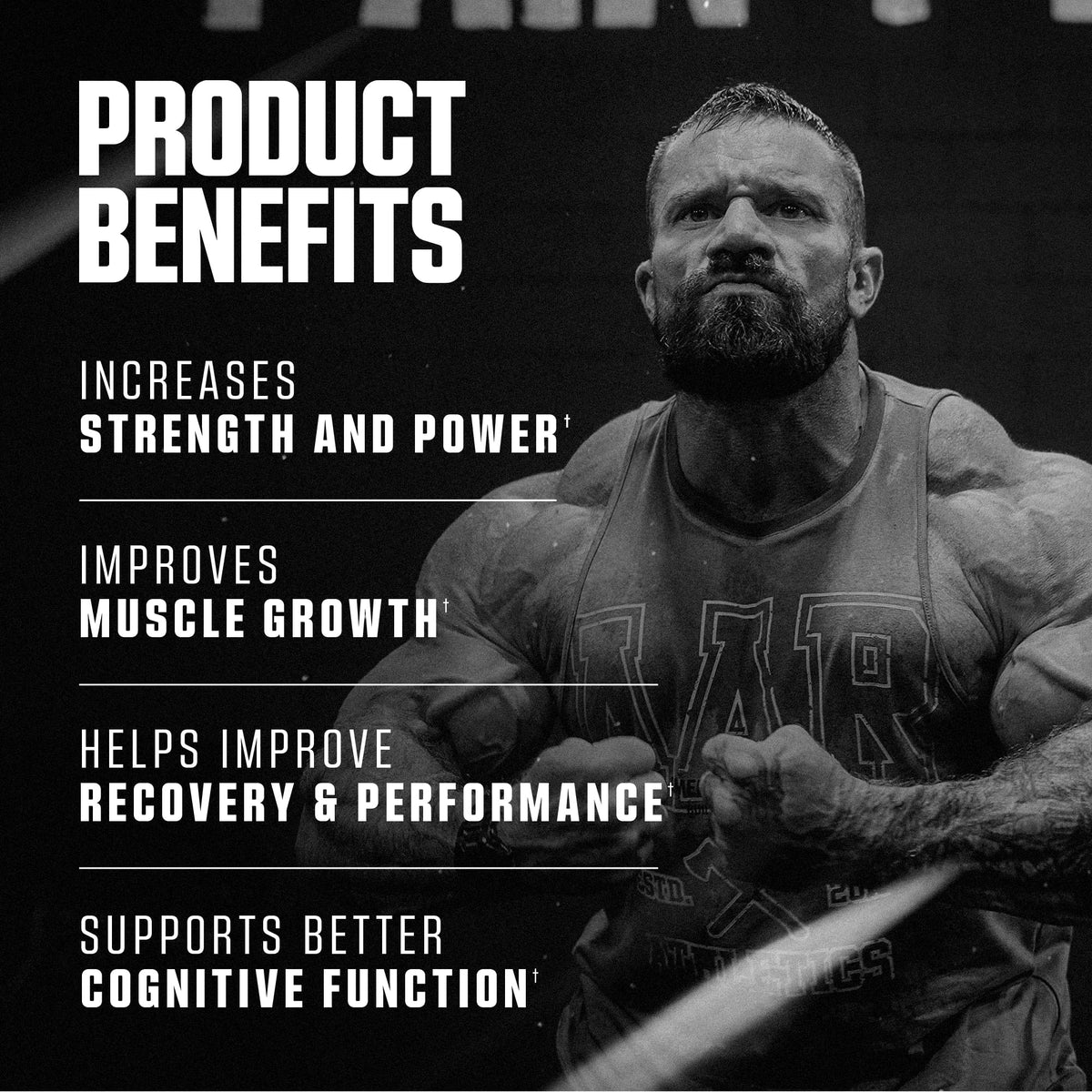 Axe & Sledge Basics Creatine mixed with a smoothie