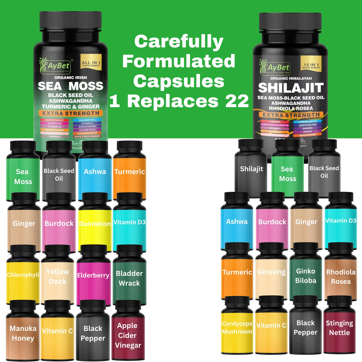 AyBet Algues Marines et Shilajit ingrédients en détail sur l'emballage