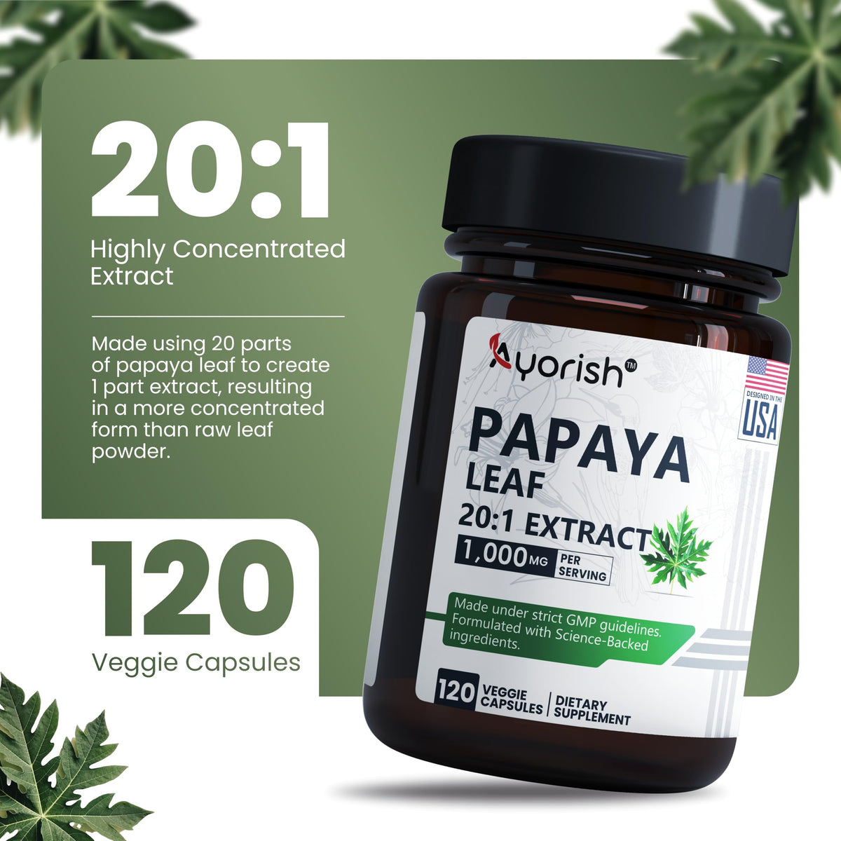 Ayorish Extrait de Feuille de Papaye 120 Capsules avec étiquette