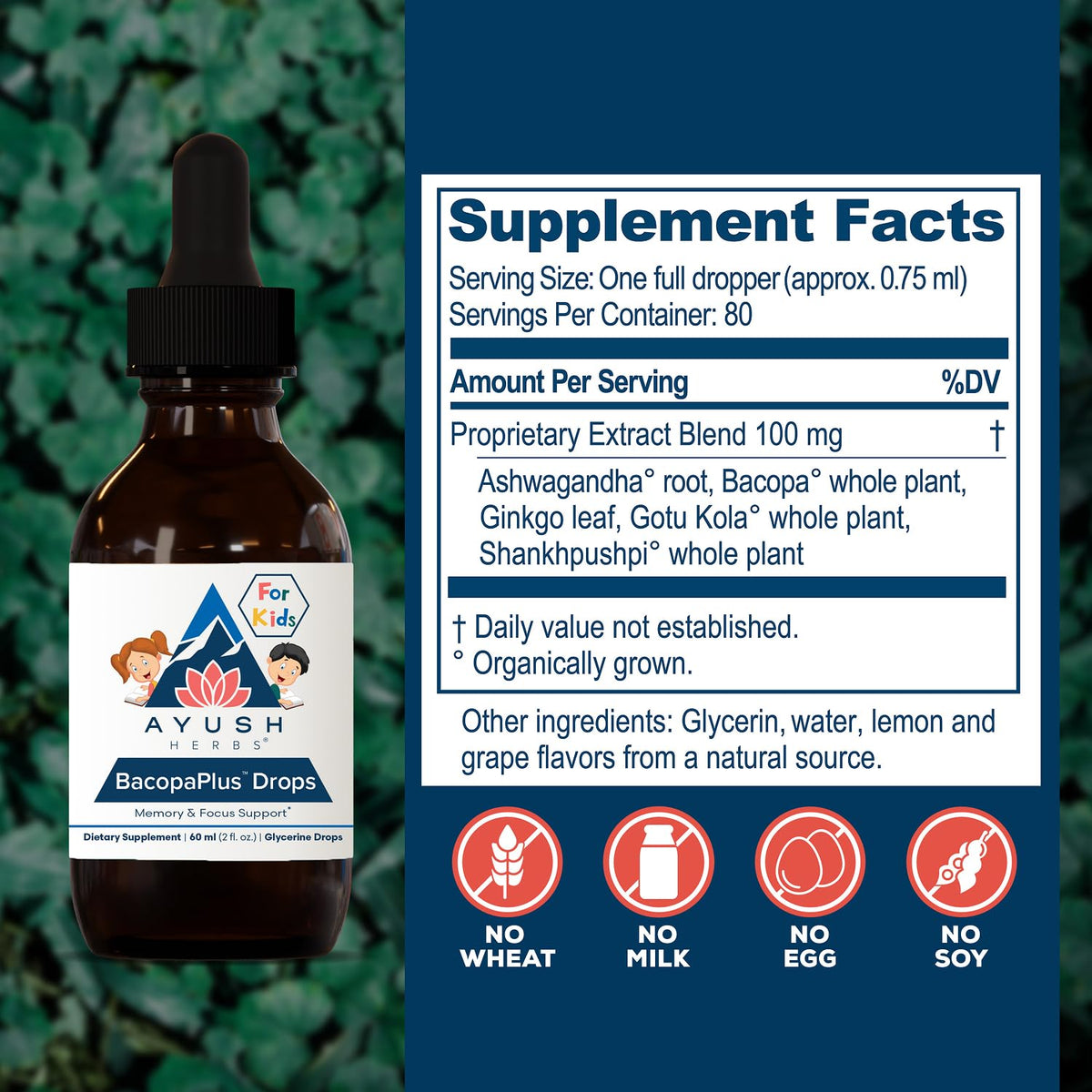 Ayush Herbs BacopaPlus Gouttes côté flacon