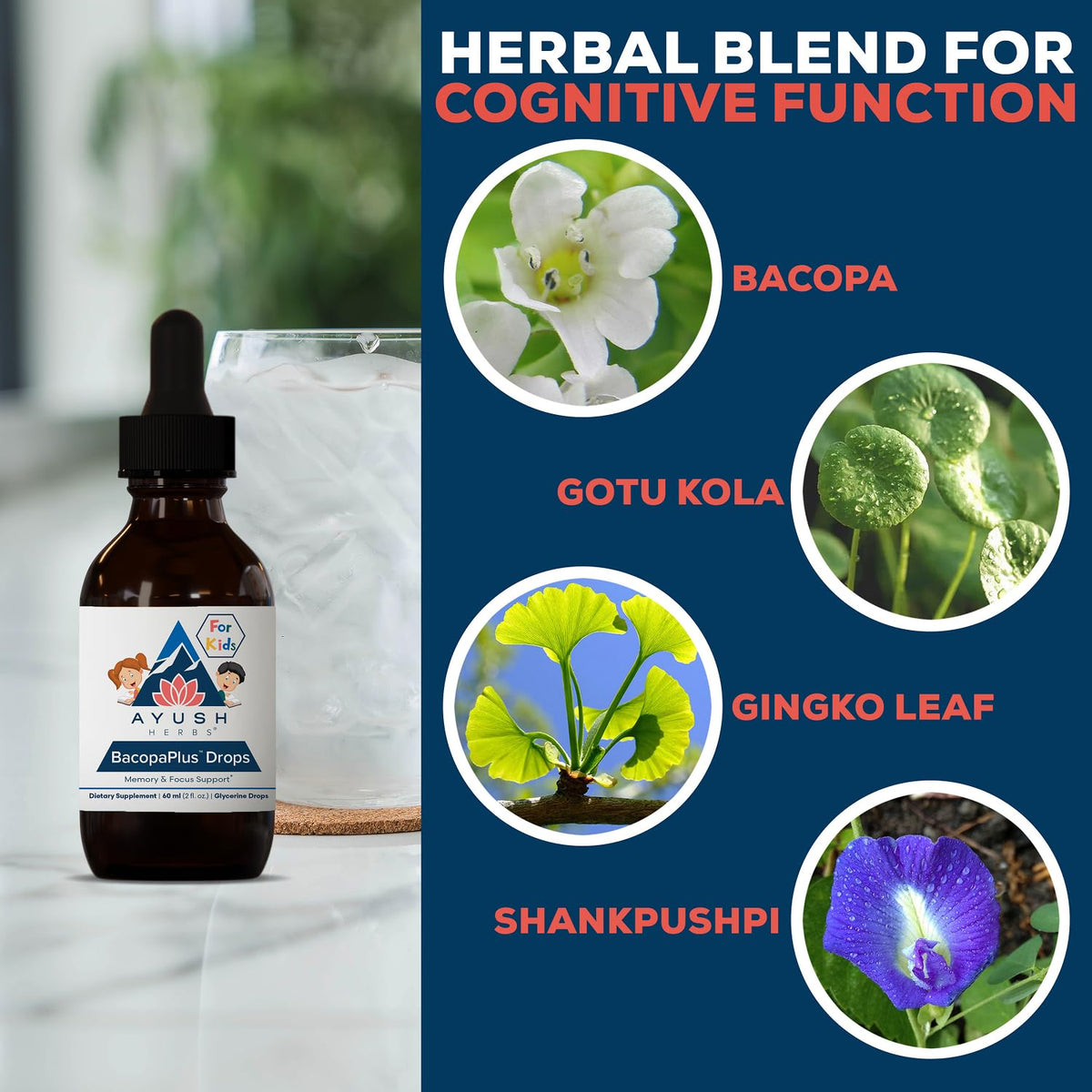 Ayush Herbs BacopaPlus Gouttes en utilisation avec un enfant